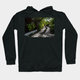 Road to a forest sky Hoodie